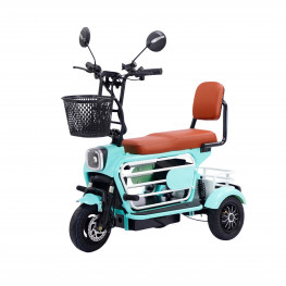 Xe điện ba bánh 2 chỗ ngồi cỡ nhỏ